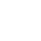 shape 16