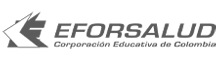 Eforsalud